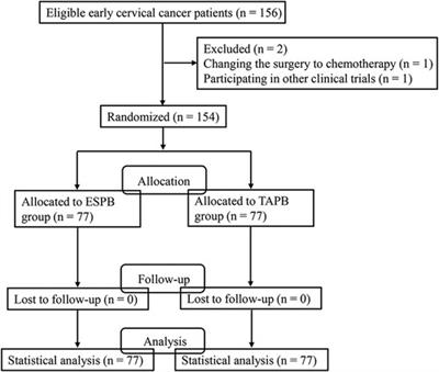 The efficiency of ultrasound-guided erector spinae plane block in early cervical cancer patients undergoing laparotomic radical hysterectomy: A double-blind randomized controlled trial